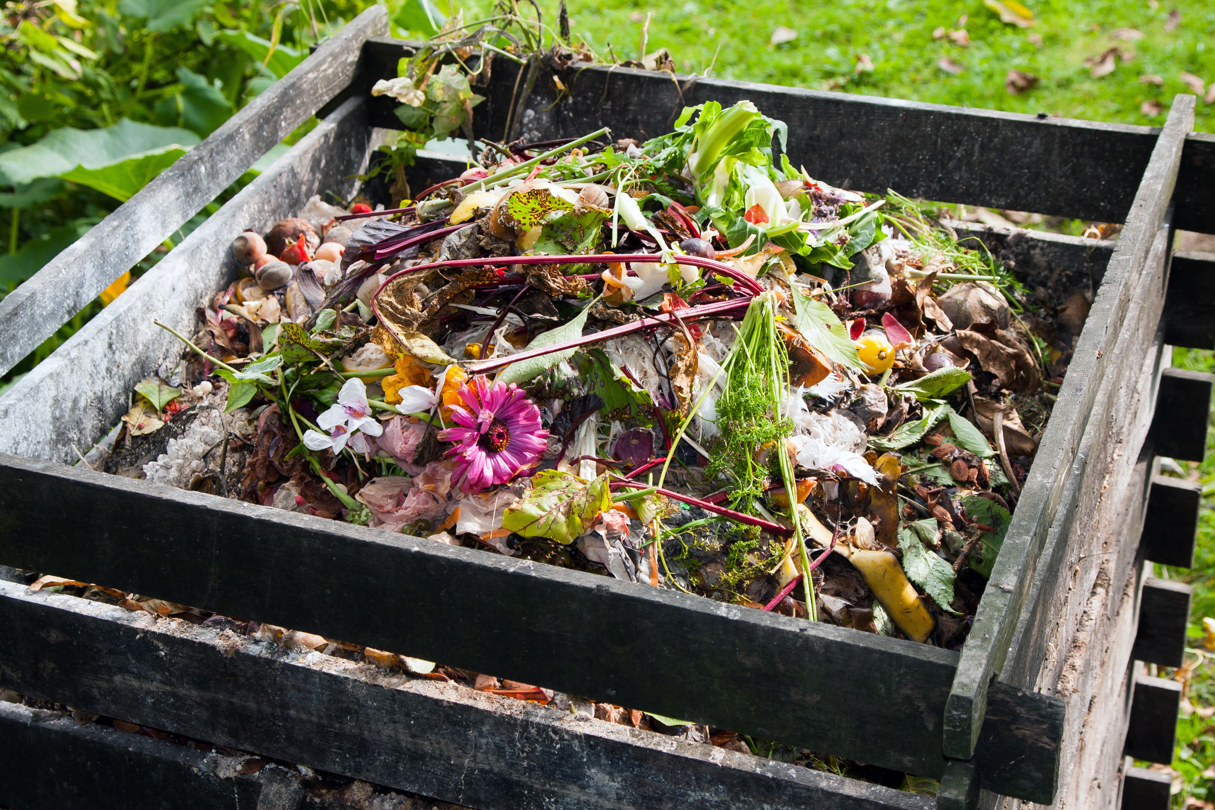backyard composting bin