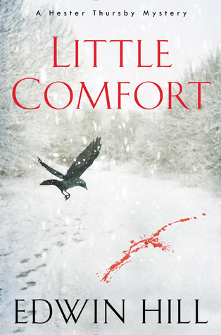 cover of Little Comfort by Edwin Hill