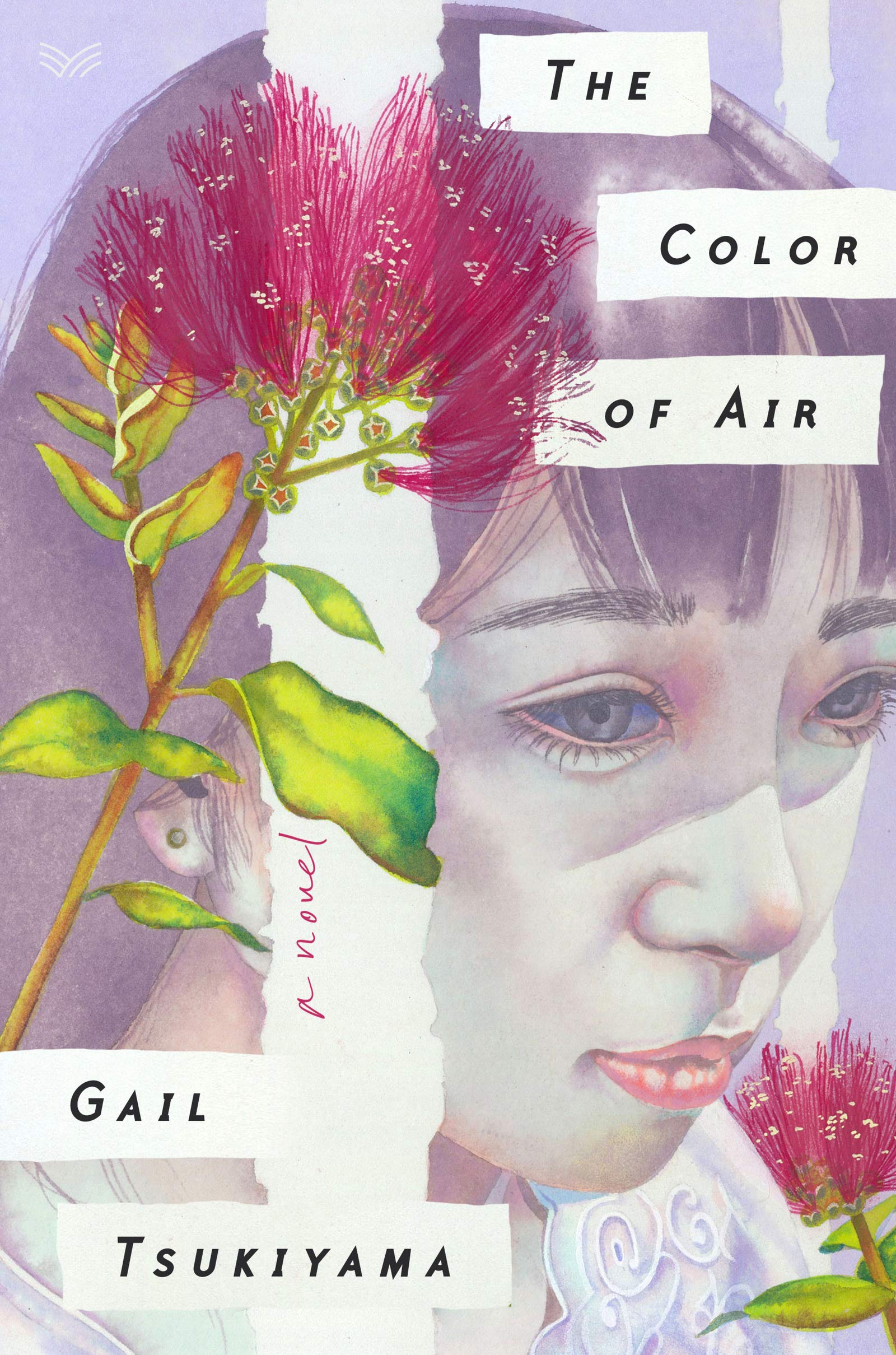 cover of Color of Air