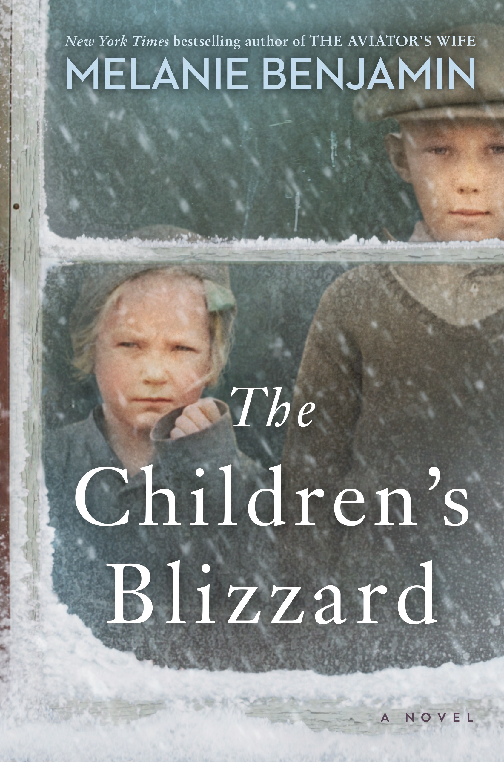 cover of Children's Blizzard