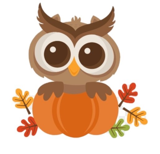 Fall Pumpkin Owl