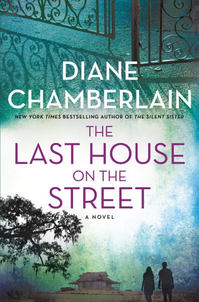 cover of The Last House on the Street