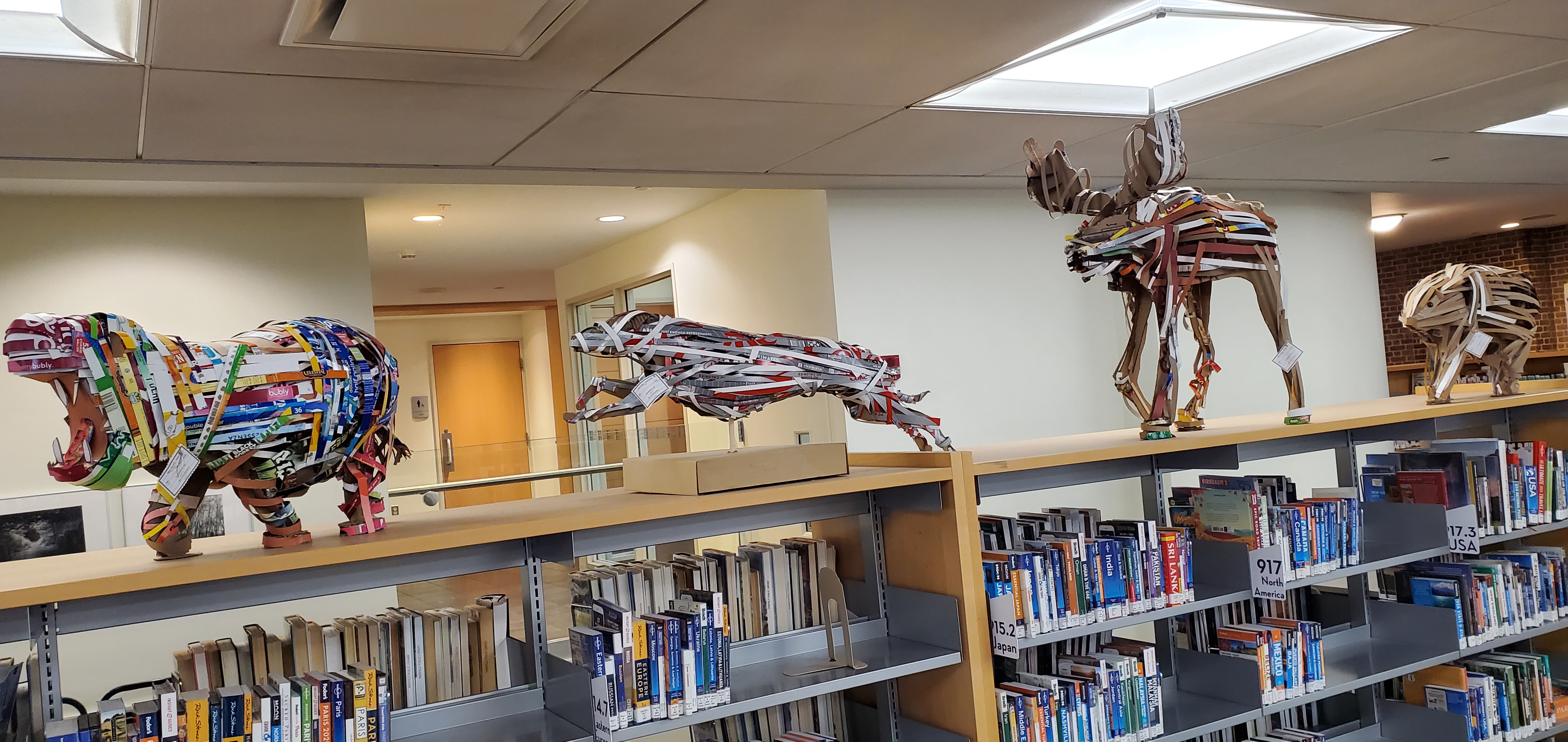 cardboard animals in library