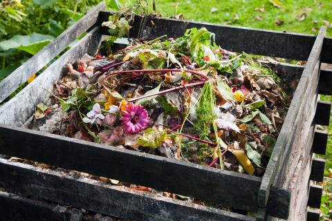 composting flowers