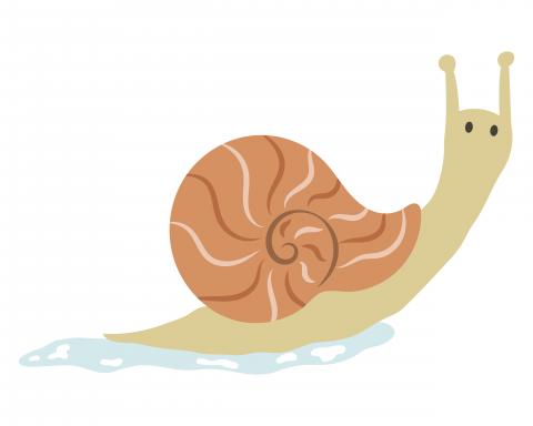 Snail slime