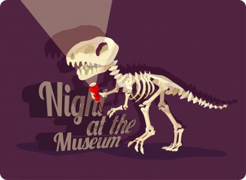 Night at the Museum