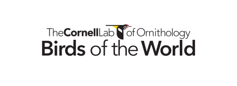 The Cornell Lab of Ornithology Birds of the World database logo