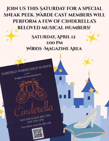 Cinderella Flyer