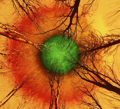 Artwork by Joanie Landau