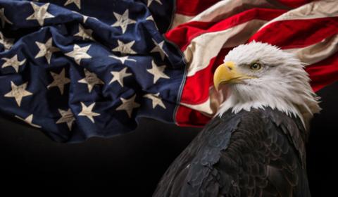 American flag with bald eagle