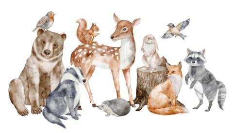 Woodland animals