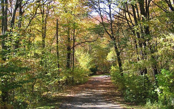 Wildlife & Connecticut's Changing Landscape