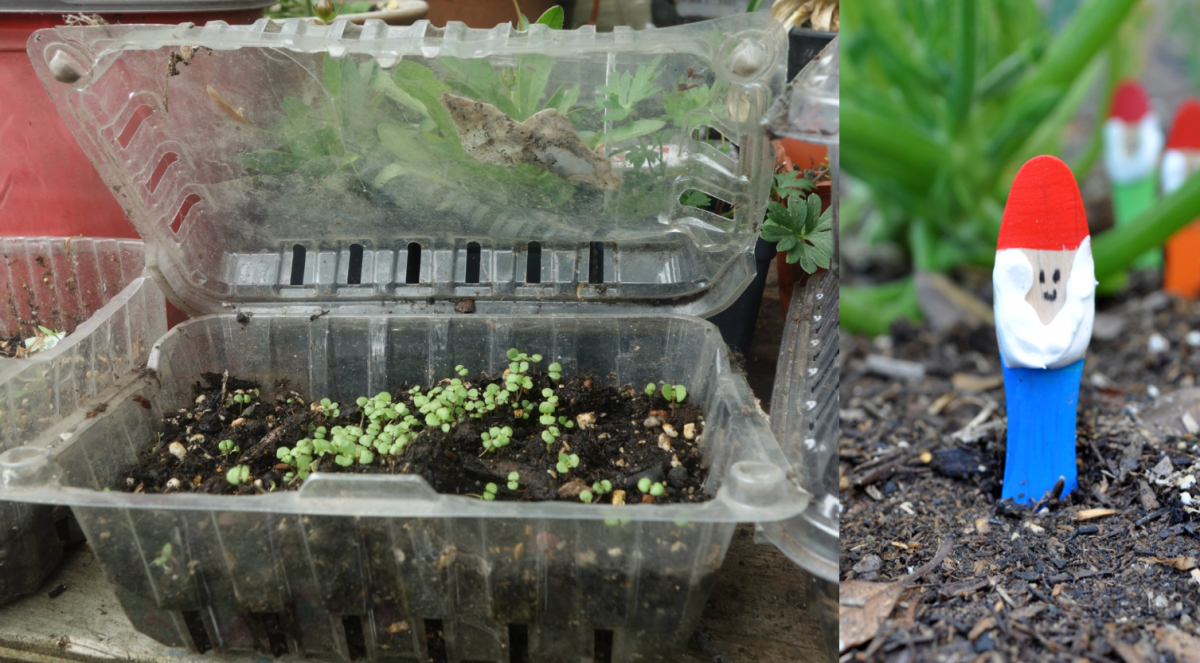 Greenhouse Gnome