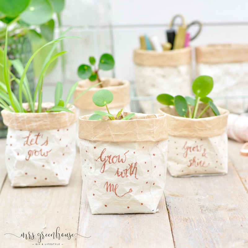 upcycled carton planter