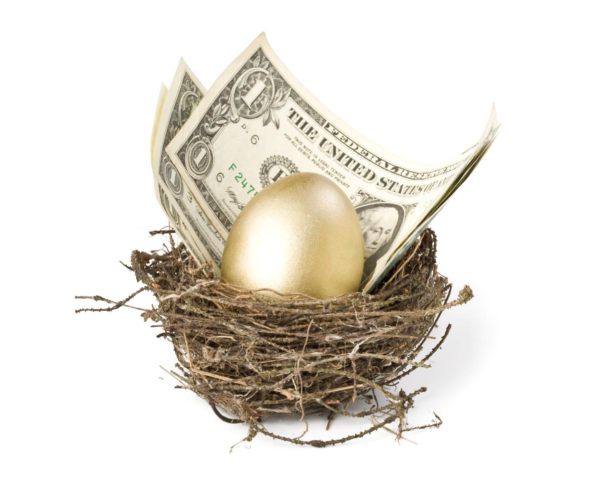 Gold egg in nest with dollars