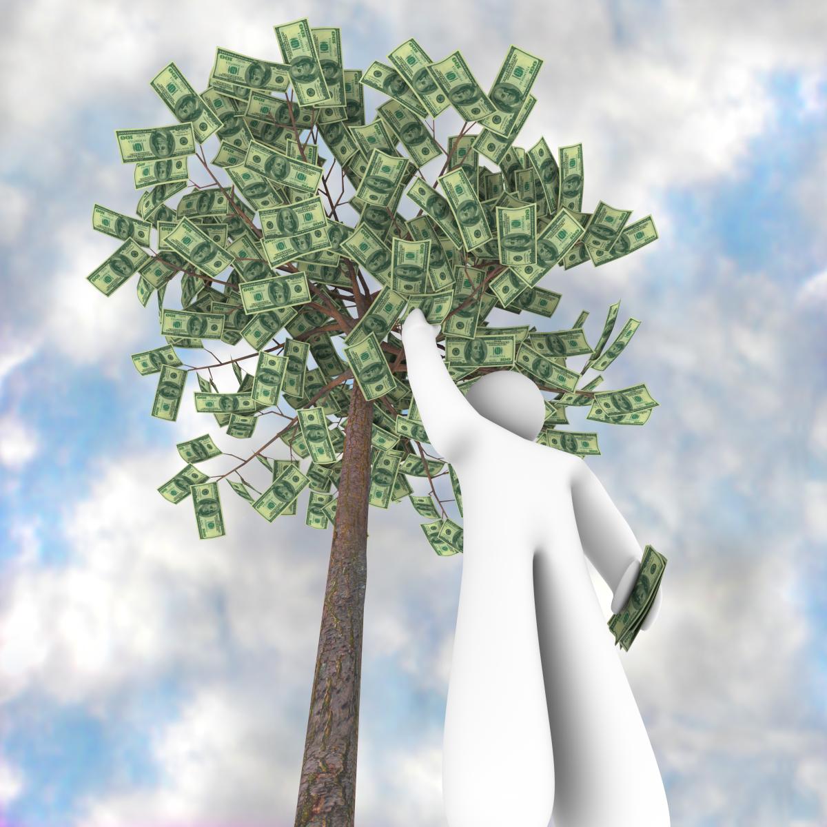 money tree