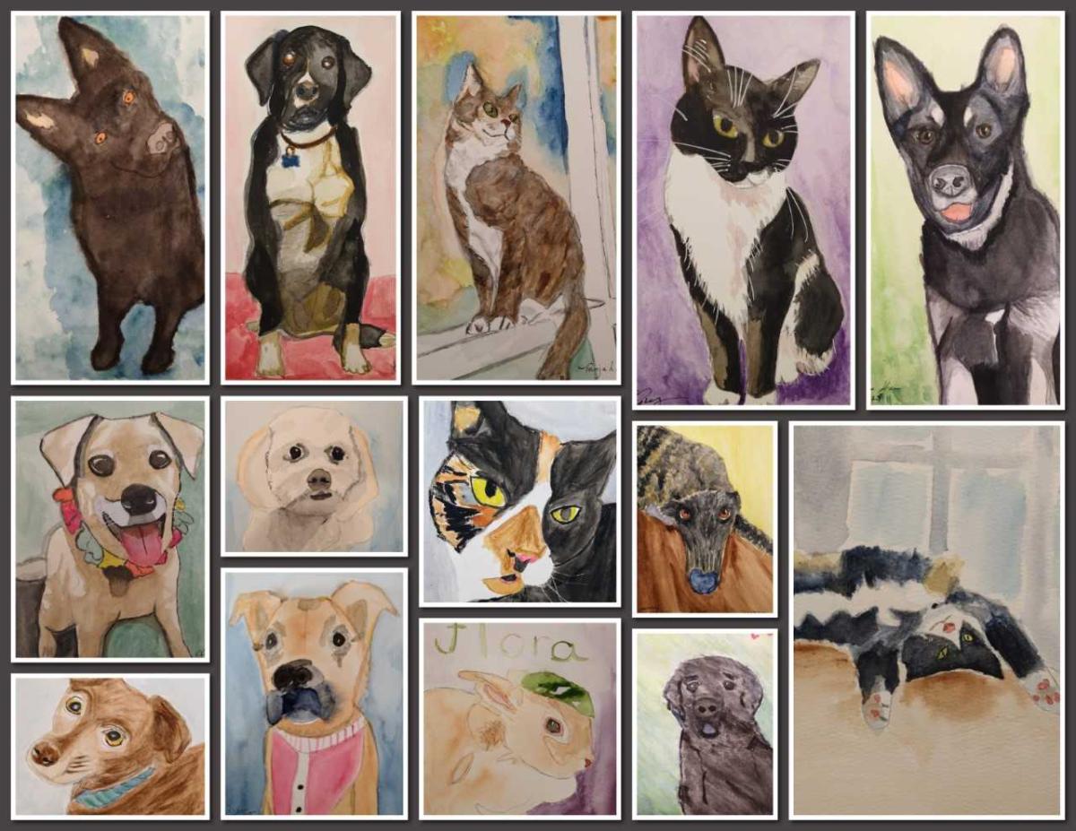 pets