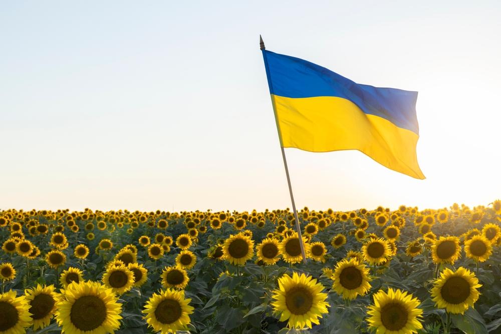Ukrainian flag and sunflowers