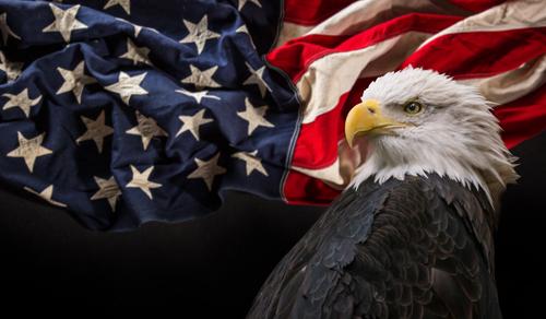 American flag with bald eagle